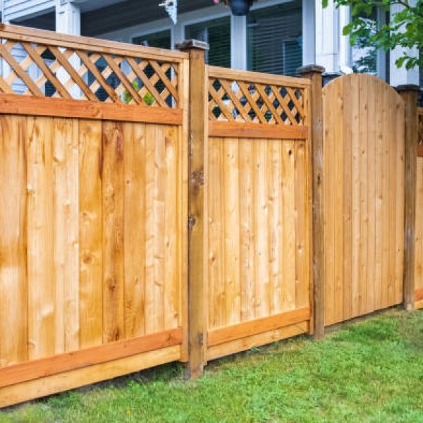 Nice wooden fence around house. Wooden fence with green lawn. Street photo, nobody, selective focus