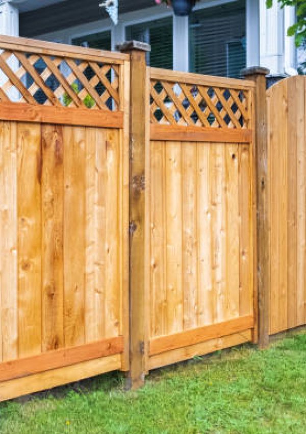 Nice wooden fence around house. Wooden fence with green lawn. Street photo, nobody, selective focus